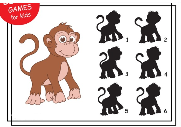 Match the monkey to its shadow